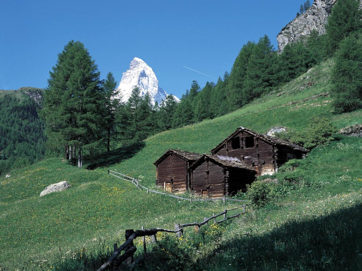 Apartment Zur Matte B-1 By Interhome Zermatt Buitenkant foto